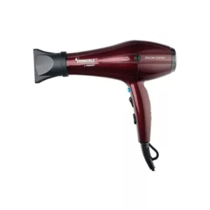 سشوار حرفه‌ای 2400 وات پرینسلی مدل PR250AT